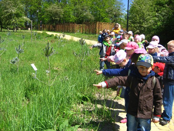 Ogród botaniczny
